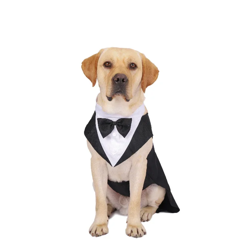 Hundekleidung Hochzeitshemd Mo – Suit Supply Wedding Party Bewertung und Preis