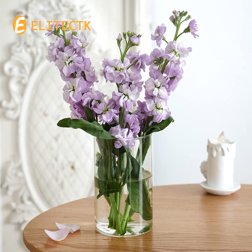 Glaszylinder Vase Hurrikan Ker – Centerpiece Vase Tall Bewertung und Preis